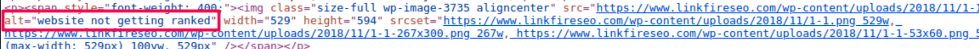 alt tag