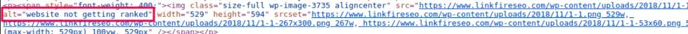 alt tag